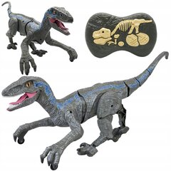 Velociraptor dinosaurus kaugjuhtimispult usb port helid QX024SZ hind ja info | Poiste mänguasjad | kaup24.ee