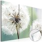 Akrüülprintimine - Fluffy Dandelions [Glass] hind ja info | Seinapildid | kaup24.ee