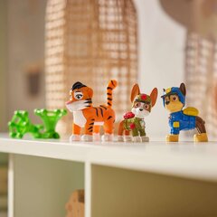 Kujukeste komplekt Paw Patrol Jungle Pups цена и информация | Развивающий мелкую моторику - кинетический песок KeyCraft NV215 (80 г) детям от 3+ лет, бежевый | kaup24.ee