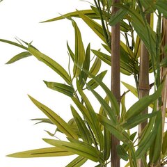 Декоративное растение Бамбук Зеленый Пластик (80 x 150 x 80 cm) цена и информация | Искусственные цветы | kaup24.ee