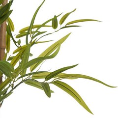 Dekoratiivne taim Bambus hind ja info | Kunstlilled | kaup24.ee