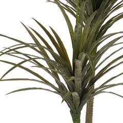 Dekoratiivne taim Palm hind ja info | Kunstlilled | kaup24.ee
