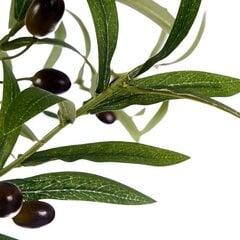 Dekoratiivne oliivipuu hind ja info | Kunstlilled | kaup24.ee