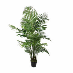 Декоративное растение Mica Decorations Пальма (80 x 160 см) цена и информация | Искусственные цветы | kaup24.ee