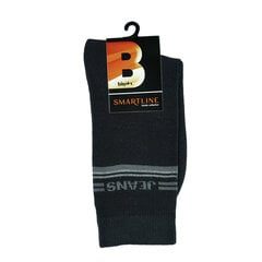 Мужские носки Bisoks 12161 черные цена и информация | Мужские носки | kaup24.ee