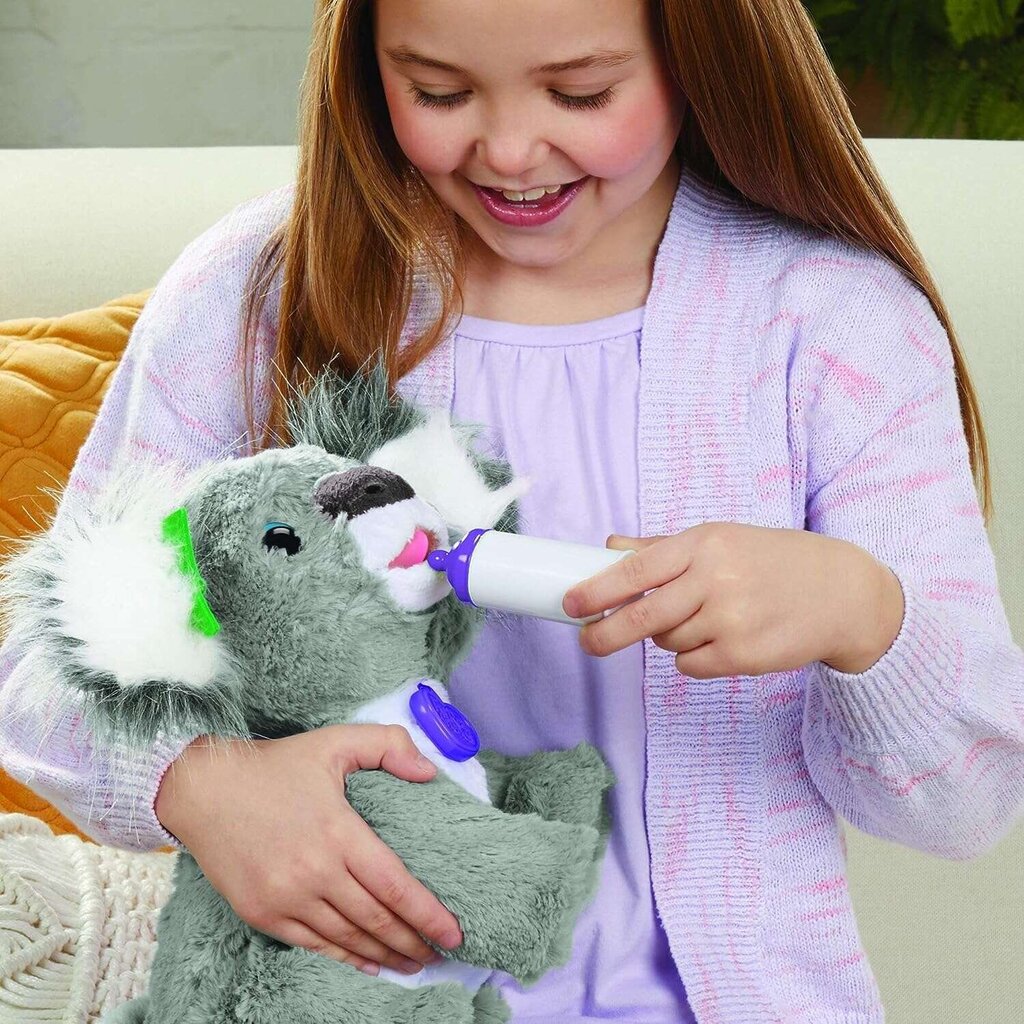 Interaktiivne mänguasi Hasbro FurReal Friends Interactive Koala Kristy цена и информация | Pehmed mänguasjad | kaup24.ee