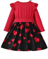 Kleit tüdrukutele Kiisuga, punane hind ja info | Tüdrukute kleidid | kaup24.ee