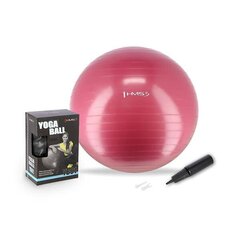 Гимнастический мяч HMS YB01N Gym Ball 65 см, розовый цена и информация | Гимнастические мячи | kaup24.ee