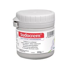 Kaitsekreem Sudocrem Multi-Expert, 250g цена и информация | Кремы, лосьоны для тела | kaup24.ee