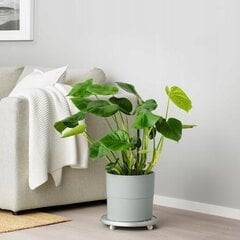 Цветочный горшок IKEA Grey 24см Имитация бетона цена и информация | Вазоны | kaup24.ee