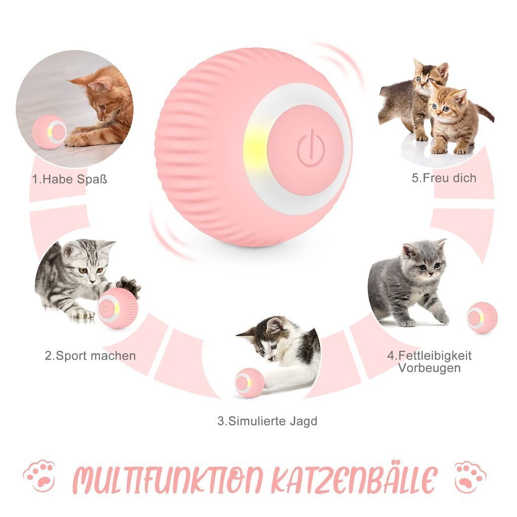 Liikuva kassi mänguasi Bahar, sinine ja roosa, 2 tk. hind ja info | Mänguasjad kassidele | kaup24.ee