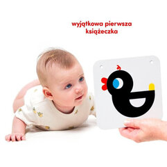 Контрастные карточки CzuCzu цена и информация | Игрушки для малышей | kaup24.ee
