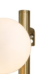 Товар с повреждением. Настенный светильник Aneta Lighting MOLEKYL цена и информация | Товары с повреждениями | kaup24.ee
