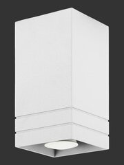 Lampex светильник Neron A цена и информация | Потолочные светильники | kaup24.ee