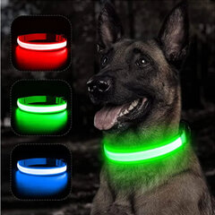 Светящийся ошейник для собак с LED-подсветкой, зеленый, 1 шт цена и информация | Ошейники, подтяжки для собак | kaup24.ee