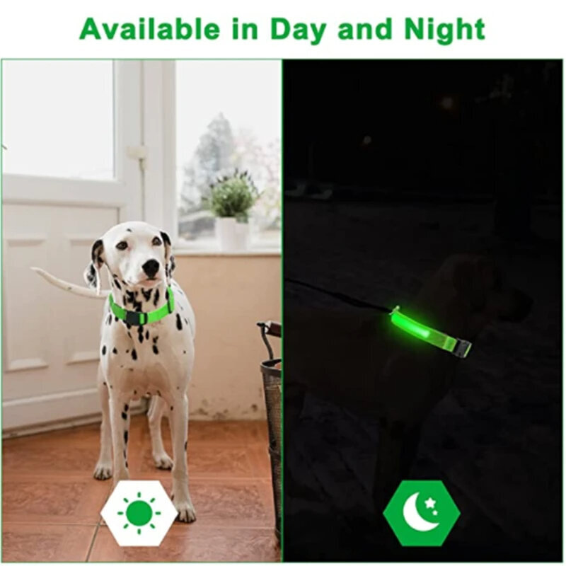 LED Valgustusega Koera Kaelarihm, 1 tk, roheline hind ja info | Kaelarihmad ja traksid koertele | kaup24.ee