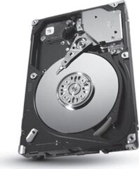 Seagate ST600MP0006 hind ja info | Sisemised kõvakettad (HDD, SSD, Hybrid) | kaup24.ee