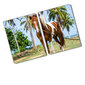 Lõikelaud Pinto hobune, 2x40x52 hind ja info | Lõikelauad | kaup24.ee