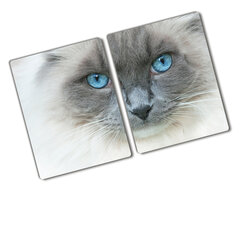 Lõikelaud Sinised kassi silmad, 2x40x122 hind ja info | Lõikelauad | kaup24.ee