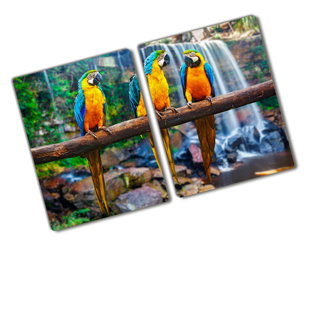 Lõikelaud Papagoid oksal, 2x40x172 hind ja info | Lõikelauad | kaup24.ee