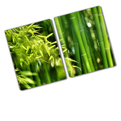 Lõikelaud Bambusest, 2x40x586 hind ja info | Lõikelauad | kaup24.ee