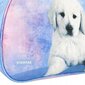 Laste spordikott, Starpak Dog Galaxy 506513, 39x27x16 cm цена и информация | Koolikotid, sussikotid | kaup24.ee