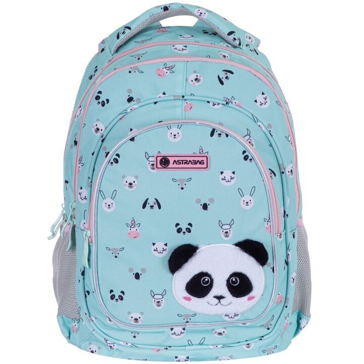 Kooli seljakott AstraBag Teddy Panda AB330 502023069, 20 l, 39x28x15 cm hind ja info | Koolikotid, sussikotid | kaup24.ee