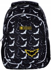 Kooli seljakott AstraBag Night Bats AB420 502022098, 20 l, 39x28x15 cm цена и информация | Школьные рюкзаки, спортивные сумки | kaup24.ee