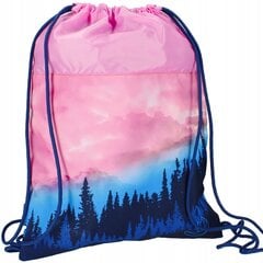 Kott-seljakott Starpak Dream 485941, 45x36 cm цена и информация | Школьные рюкзаки, спортивные сумки | kaup24.ee