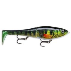 Lant Rapala X-Rap Peto XRPT20PEL hind ja info | Landid, voblerid | kaup24.ee