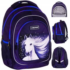 Kooli seljakott, Head Galaxy, 39x28x15 cm hind ja info | Koolikotid, sussikotid | kaup24.ee