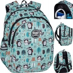 Kooli seljakott CoolPack Jerry Shoppy F029661, 39x28x15 cm цена и информация | Школьные рюкзаки, спортивные сумки | kaup24.ee