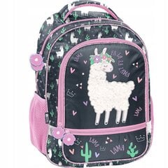 Kooli seljakott Paso Lama PP23LA-260, 41x31x15 cm hind ja info | Koolikotid, sussikotid | kaup24.ee