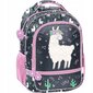 Kooli seljakott Paso Lama PP23LA-260, 41x31x15 cm цена и информация | Koolikotid, sussikotid | kaup24.ee