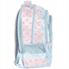 Kooli seljakott Paso Bambi DB22DD-181, 41x31x15 cm hind ja info | Koolikotid, sussikotid | kaup24.ee