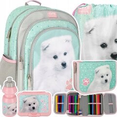 Kooli seljakott koos tarvikutega Starpak Doggy 485878, 5 osa цена и информация | Школьные рюкзаки, спортивные сумки | kaup24.ee