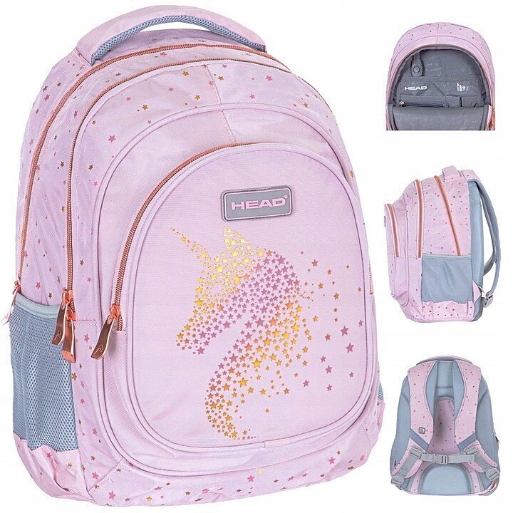 Kooli seljakott Head AB330 Golden Effect Rose 502023085, 20 l, 39x28x15 cm hind ja info | Koolikotid, sussikotid | kaup24.ee