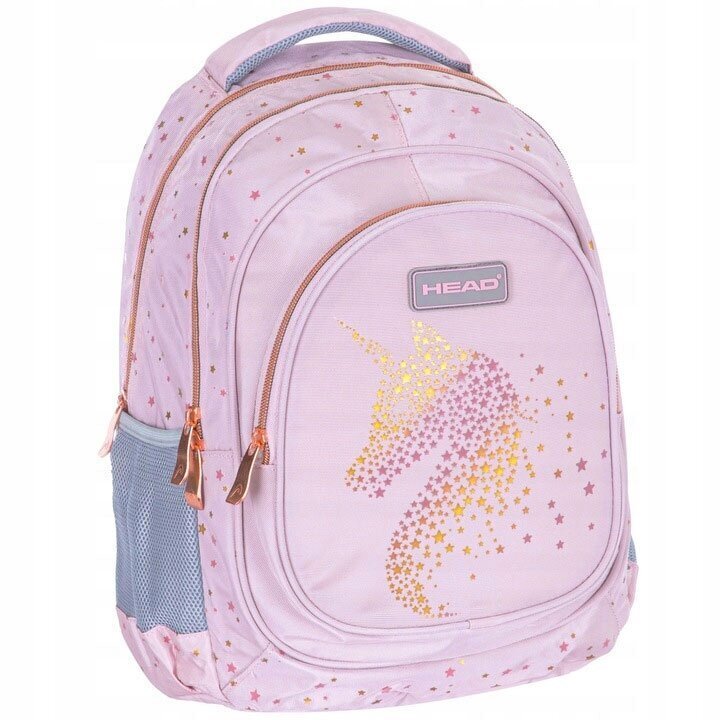 Kooli seljakott Head AB330 Golden Effect Rose 502023085, 20 l, 39x28x15 cm hind ja info | Koolikotid, sussikotid | kaup24.ee