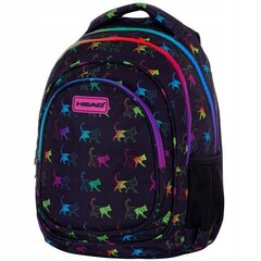 Kooli seljakott Head AB330 Rainbow Kitty 502023081, 20 l, 39x28x15 cm цена и информация | Школьные рюкзаки, спортивные сумки | kaup24.ee