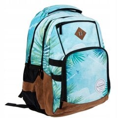 Kooli seljakott Starpak, erinevad värvid цена и информация | Школьные рюкзаки, спортивные сумки | kaup24.ee
