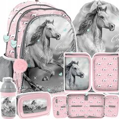 Kooli seljakott koos tarvikutega Paso Horse PP23KO-081, 5 osa цена и информация | Школьные рюкзаки, спортивные сумки | kaup24.ee