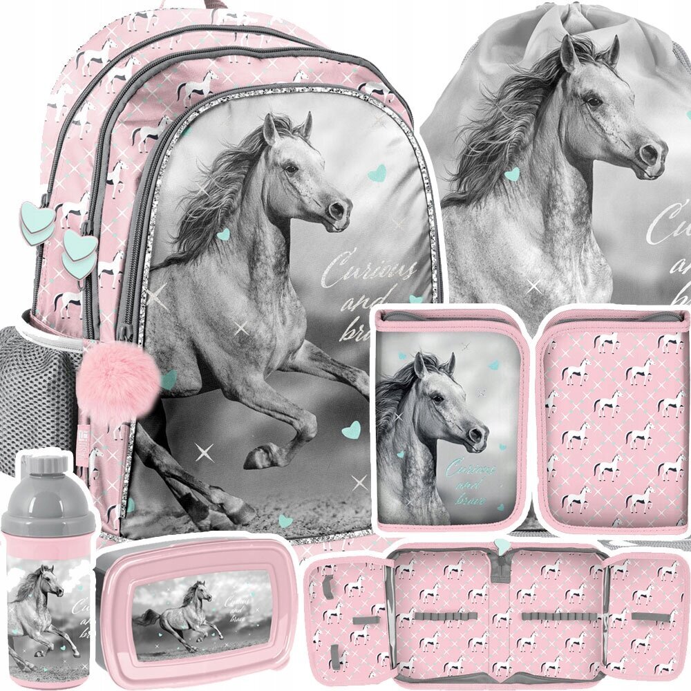 Kooli seljakott koos tarvikutega Paso Horse PP23KO-081, 5 osa цена и информация | Koolikotid, sussikotid | kaup24.ee
