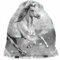 Kooli seljakott koos tarvikutega Paso Horse PP23KO-081, 5 osa цена и информация | Koolikotid, sussikotid | kaup24.ee