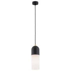 Argon подвесной светильник Burgos 4213 цена и информация | Потолочный светильник, 38 x 38 x 24 см | kaup24.ee