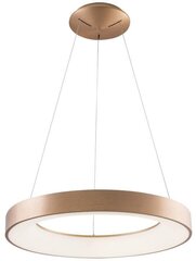 Azzardo подвесной светильник Santana AZ5000 цена и информация | Потолочный светильник, 38 x 38 x 24 см | kaup24.ee