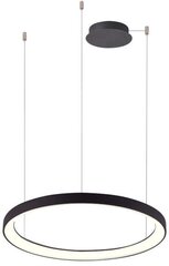 Azzardo подвесной светильник Agnes AZ5016 цена и информация | Потолочный светильник, 38 x 38 x 24 см | kaup24.ee