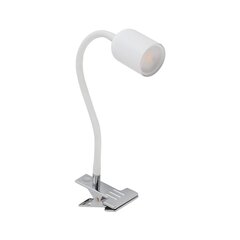 TK Lighting настольный светильник Top цена и информация | Настольная лампа | kaup24.ee
