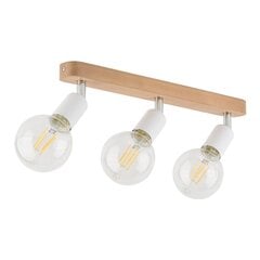 TK Lighting laelamp Simply цена и информация | Потолочные светильники | kaup24.ee