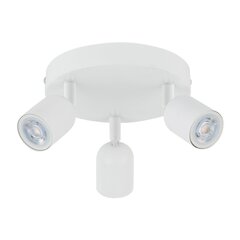 TK Lighting laevalgusti Top hind ja info | Laelambid | kaup24.ee