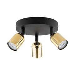 TK Lighting потолочный светильник Top цена и информация | Потолочные светильники | kaup24.ee